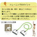 vit Fit ストレッチチューブ ハンドル付 ＜ ハード ＞ エクササイズ トレーニング フィットネス 上半身 エクササイズ キャプテンスタッグ CAPTAIN STAG パール金属【UR-0900】 3