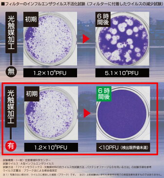 【新型欠品。7〜8月頃再入荷予定】【送料無料】【●日本製】光触媒フィルター 空気消臭除菌装置 新 ブルーデオ MaSSC Blue Deo 除菌 消臭 光触媒 空気清浄機 8畳 日本アトピー協会推薦品 PM2.5 菌 ウィルス インフルエンザ 対策 マスクフジコー【MC-S101 MC-S1】