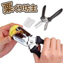 【●日本製】くりむき機 栗剥き 栗 面倒な栗の皮むきも簡単! 便利小物 栗くり坊主 ソフトグリップ はさみ 皮剥き クリクリ パール金属 【C-3809】