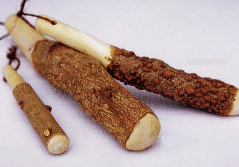 送料無料 山椒すりこぎ 特大 30cm【CP】