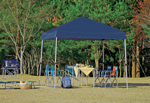 クイックシェード簡単組立タープ 250UVサイズ(キャリーバッグ付) CAPTAIN STAG パール金属 【RCP】【M-3277】通販格安セール情報 楽天 通販