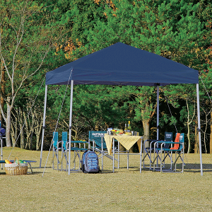 クイックシェード簡単組立タープ 250UVサイズ(キャリーバッグ付) CAPTAIN STAG パール金属 【RCP】【M-3277】通販格安セール情報 楽天 通販