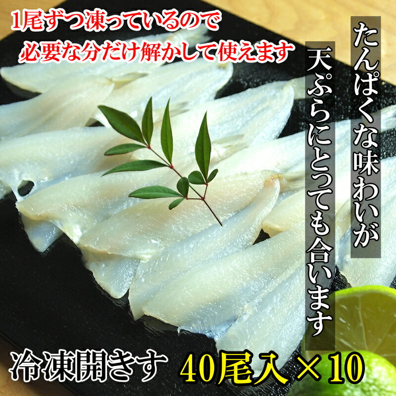 【送料無料】冷凍キス開き 40尾入10ケース400尾送り先が四国の場合は＋200円、北海...