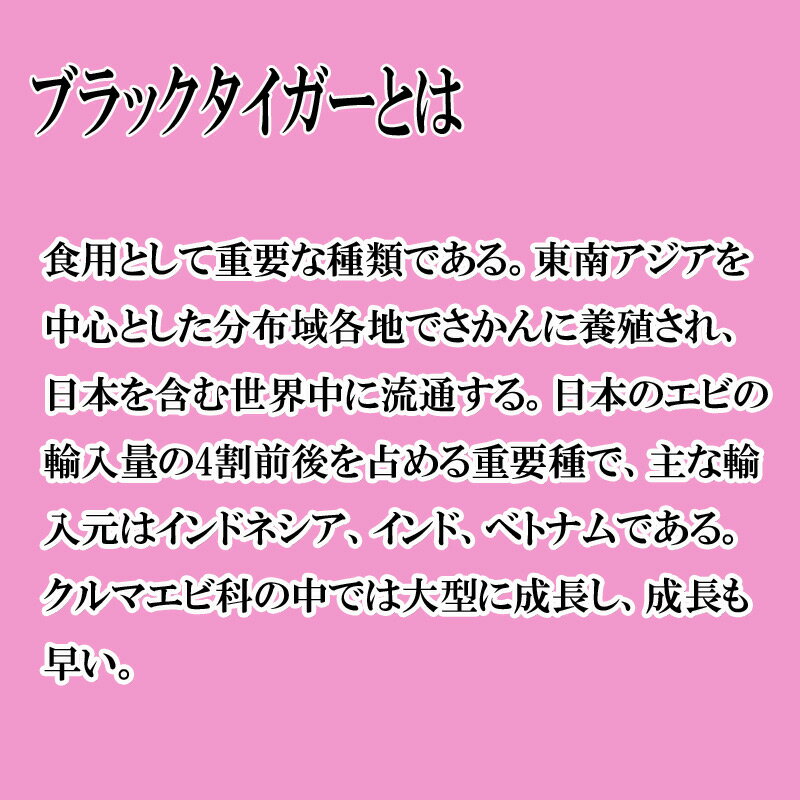 ブラックタイガーエビ　31/40サイズ【まるなか】