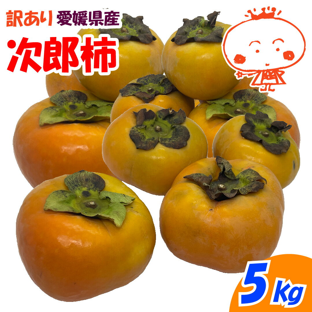 【訳あり】愛媛県産　次郎柿　5kg
