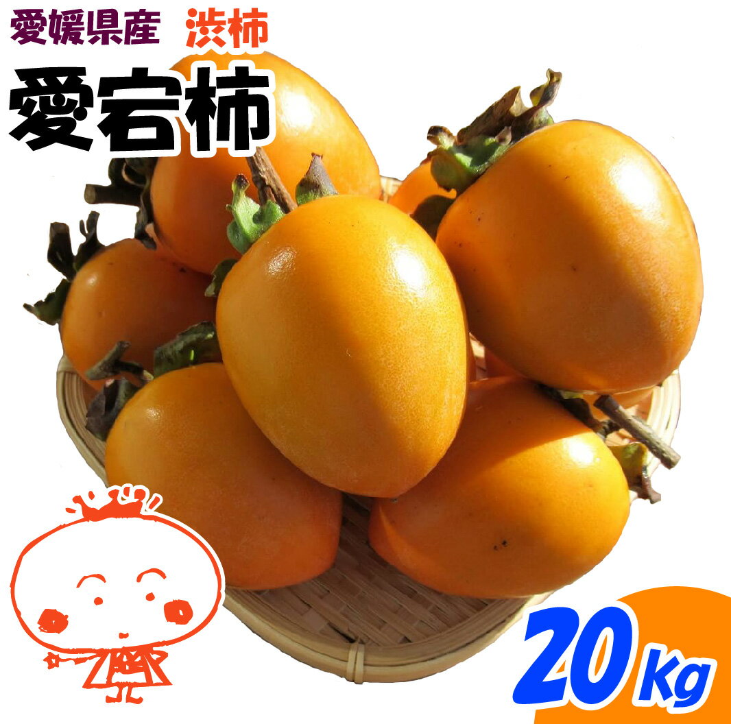 【愛媛県産】柿 かき あたご 愛宕柿 20kg 徳用 傷あり 干柿用 渋柿 ご家庭用 果物 干し柿用のT字軸付