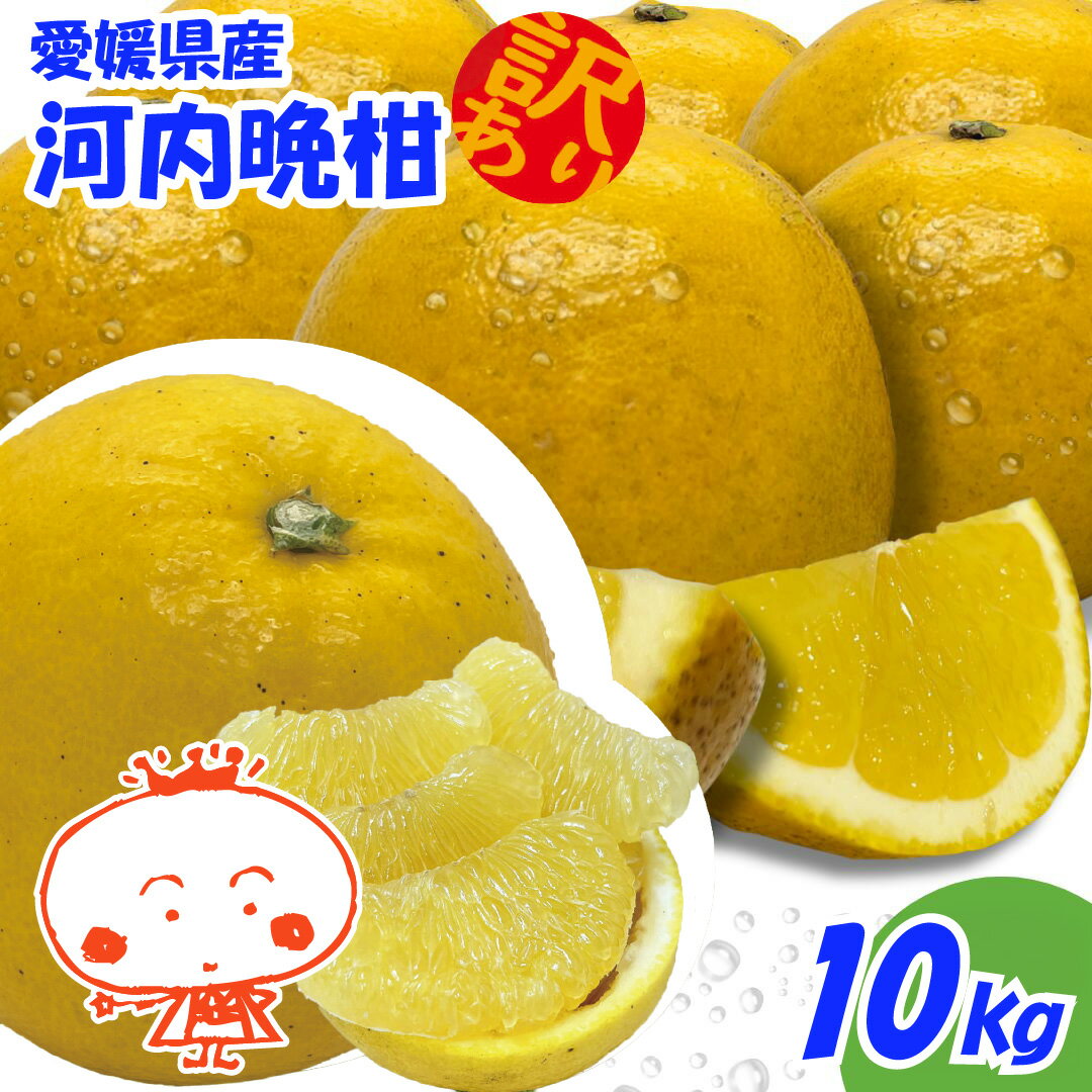 【訳あり】河内晩柑　
