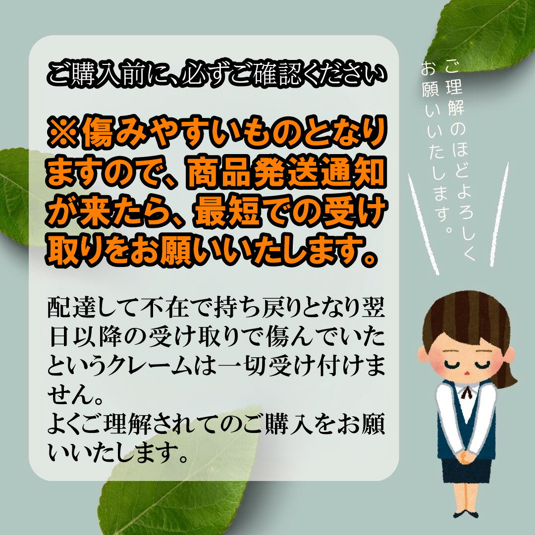 【クール便】【訳あり】河内晩柑 「小玉」 10kg （みしょうゴールド・美生柑・愛南ゴールド・宇和ゴールド・ジューシーオレンジ・ナダオレンジ・みしょうゴールド・夏文旦） marunann-10000066 まるちゃん11 楽天市場店 サンプル画像3