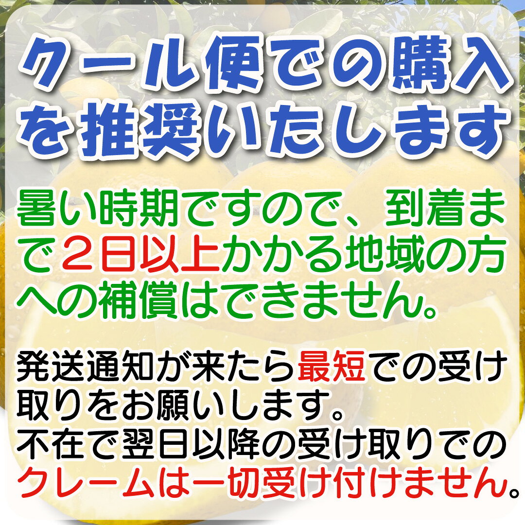 【クール便】【訳あり】河内晩柑 「小玉」 10kg （みしょうゴールド・美生柑・愛南ゴールド・宇和ゴールド・ジューシーオレンジ・ナダオレンジ・みしょうゴールド・夏文旦） marunann-10000066 まるちゃん11 楽天市場店 サンプル画像2