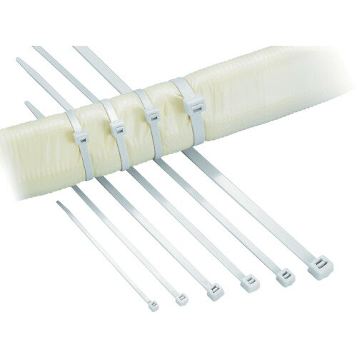 ヘラマンタイトン　ABタイ　幅2．5X長さ100mm　100本入　屋外用【AB100100IVY】 販売単位：1袋(入り数..