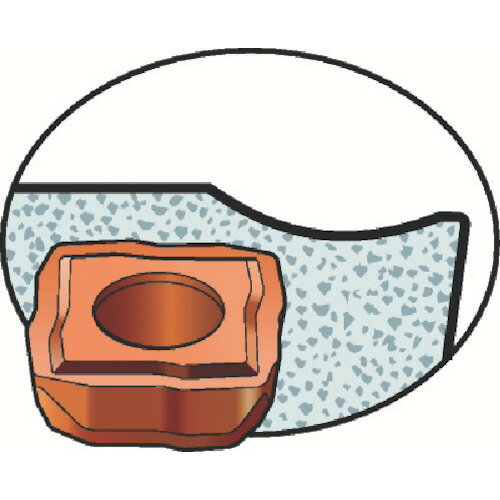 サンドビック　コロドリル881用チップ　1144【881030308MCGM1(1144)】 販売単位：10個(入り数：-)JAN[-](サンドビック チップ) サンドビック（株）【05P03Dec16】