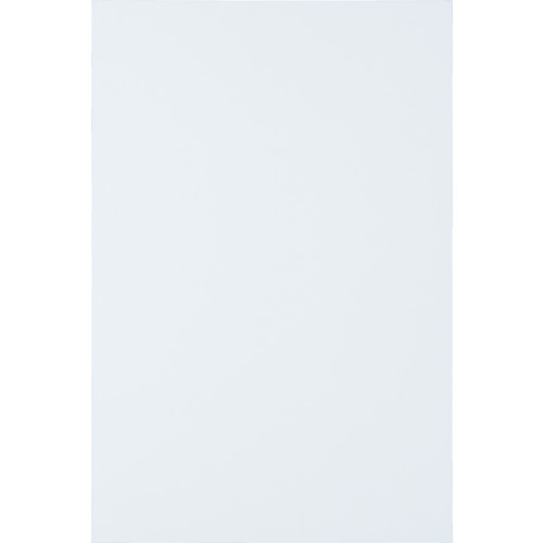 TRUSCOޥͥåȥȱ̵200X300MSN2W ñ̡1(-)JAN[4989999186833](TRUSCO ޥͥå)...