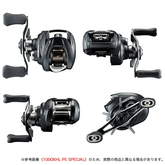 シルバーウルフ SV TW 1000XH PE SPECIAL (2)