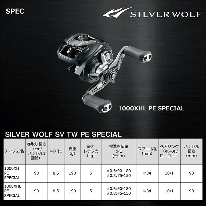 シルバーウルフ SV TW 1000XH PE SPECIAL (3)