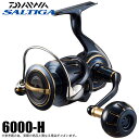 (5)ダイワ 23 ソルティガ 6000-H (2023年モデル) スピニングリール 【Σ01】