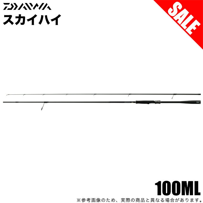 (5)【目玉商品】ダイワ 25 スカイハイ 100ML (シーバ