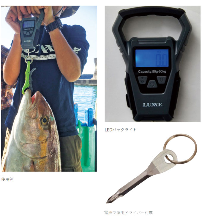 (c)�ڼ��󤻾��ʡ� ���ޤ��� �ǥ����륹������ 50kg LE121 /gamakatsu/���/�ե��å���/�Ϥ���/���� �ڦ�01��