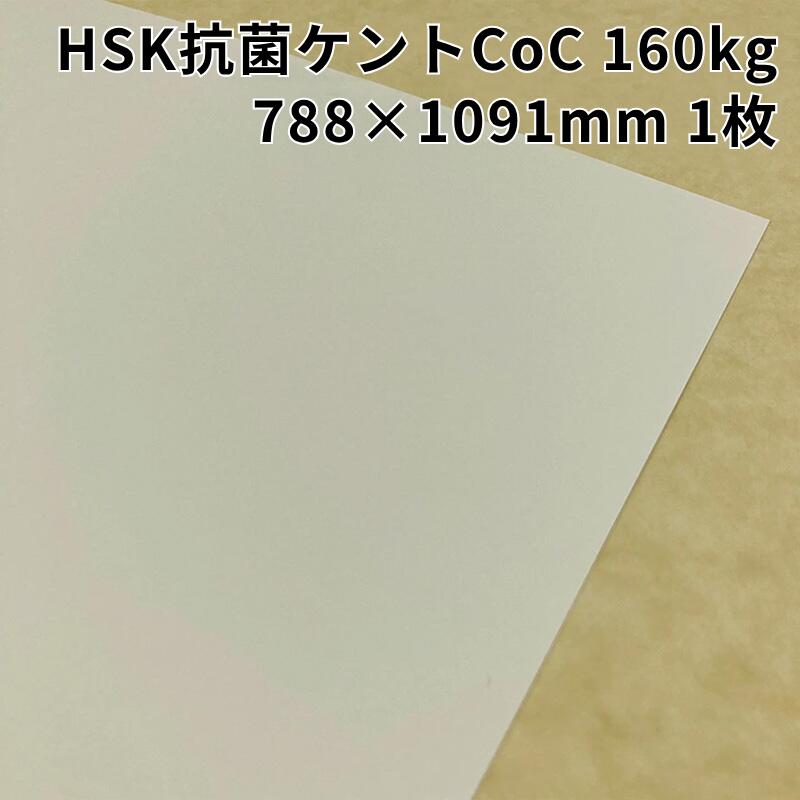 【楽天スーパーSALE クーポン配布中】HSK抗菌ケントCoC 160kg(≒0.22mm) 全判(788×1091mm) 1枚|抗菌 ケント紙