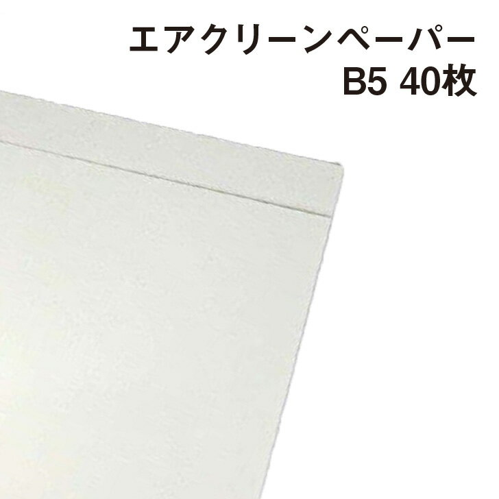 エアクリーンペーパー 73kg B5 40枚|空気清浄 光触媒 機能紙 和紙風 消臭 カレンダー ポスター 空気の汚れを紙で綺麗に