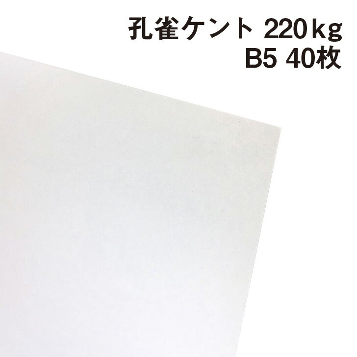 ポイント UP 期間限定 【コクヨ】ケント紙210g（B4）180kg セ-KP24