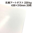 北越 特アートポスト 220kg 438×310mm 20枚|厚手の紙 カタログ 冊子 カード ポストカード 絵はがき 卓上POP パッケージ