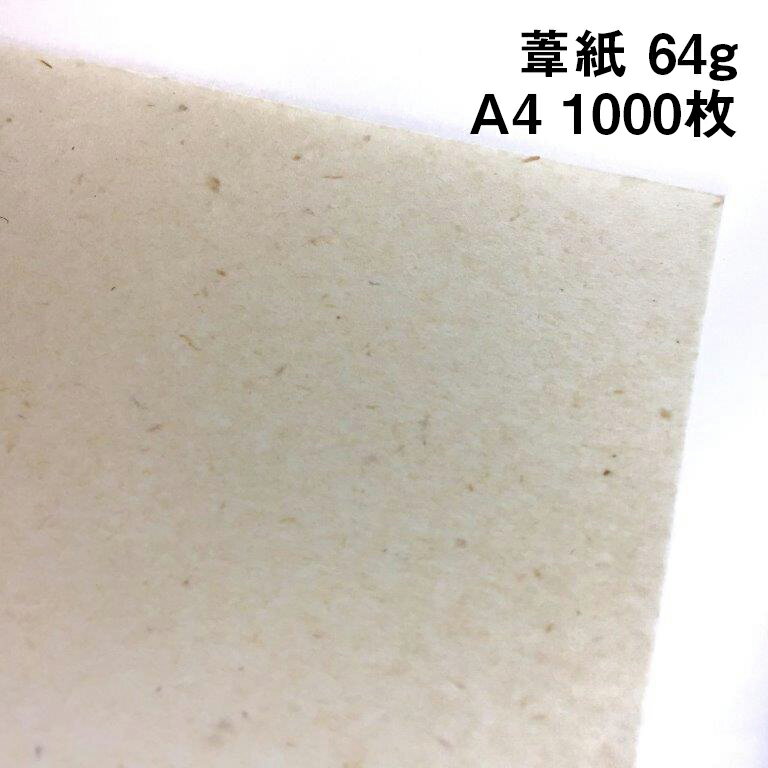 葦紙 64g A4 1000枚|非木材紙 環境対応 ナチュラル インクジェットプリンター対応