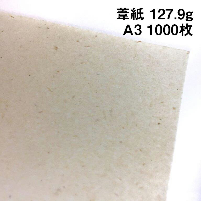 葦紙 127.9g A31000枚|非木材紙 環境対応 ナチュラル インクジェットプリンター対応