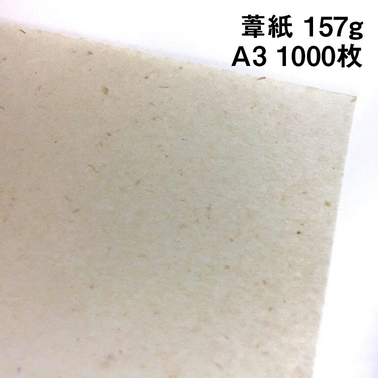 葦紙 157g A3 1000枚|非木材紙 環境対応 ナチュラル インクジェットプリンター対応
