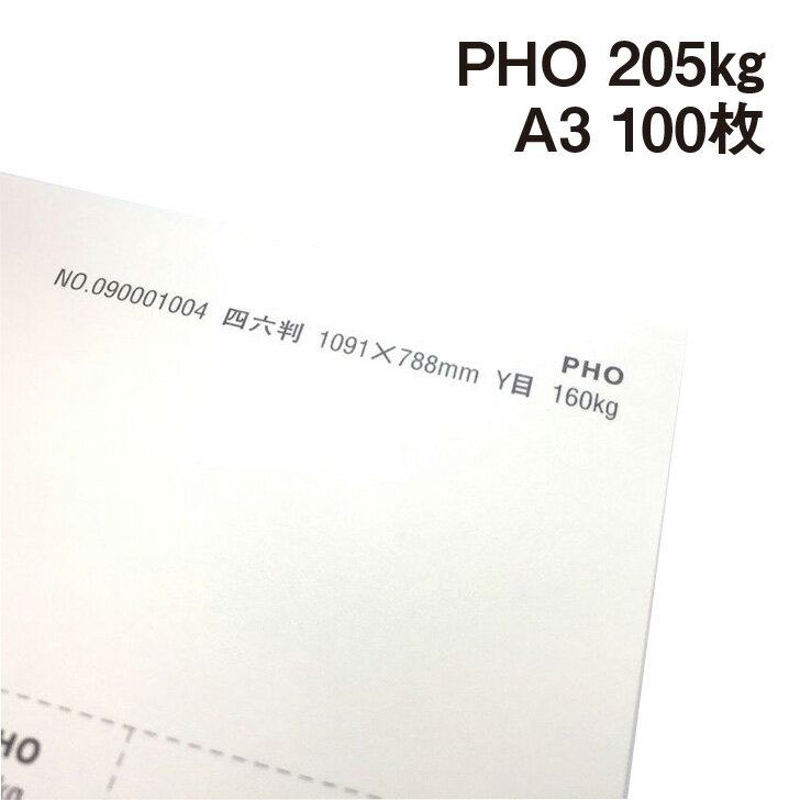 PHO 205kg A3 100|hHp Photograph i` v[ X[X veBOt@V[ J[h ؏