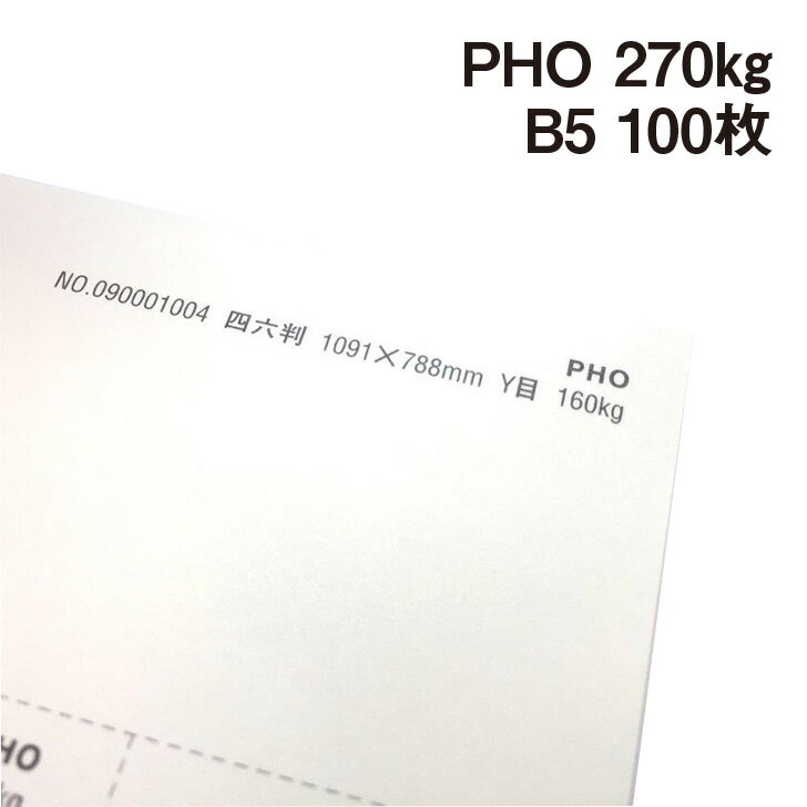 PHO 270kg B5 100|hHp Photograph i` v[ X[X veBOt@V[ J[h ؏