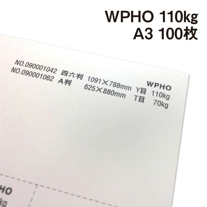 WPHO 110kg A3 100