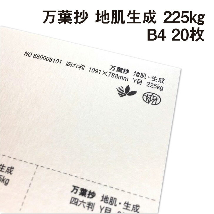 万葉抄 地肌 生成 225kg B4 20枚|和風 きなり