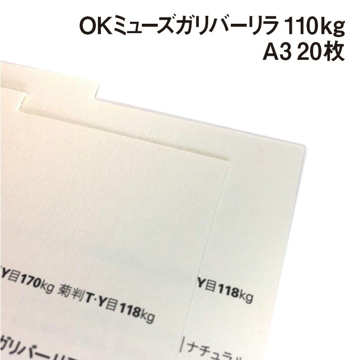 OKミューズガリバーリラ 110kg A3 20枚|全2色より1色選択 ストライプ 細やかな縞模様 ラフ・グロス 出版物 商業印刷物 紙製品
