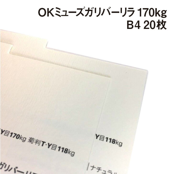OKミューズガリバーリラ 170kg B4 20枚|全2色より1色選択 ストライプ 細やかな縞模様 ラフ・グロス 出版物 商業印刷物 紙製品