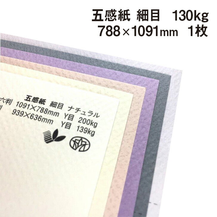 五感紙 細目 130kg 788×1091mm 1枚|全3色より1色選択 フェルト調ファンシーペーパー エンボス 特殊紙 ..