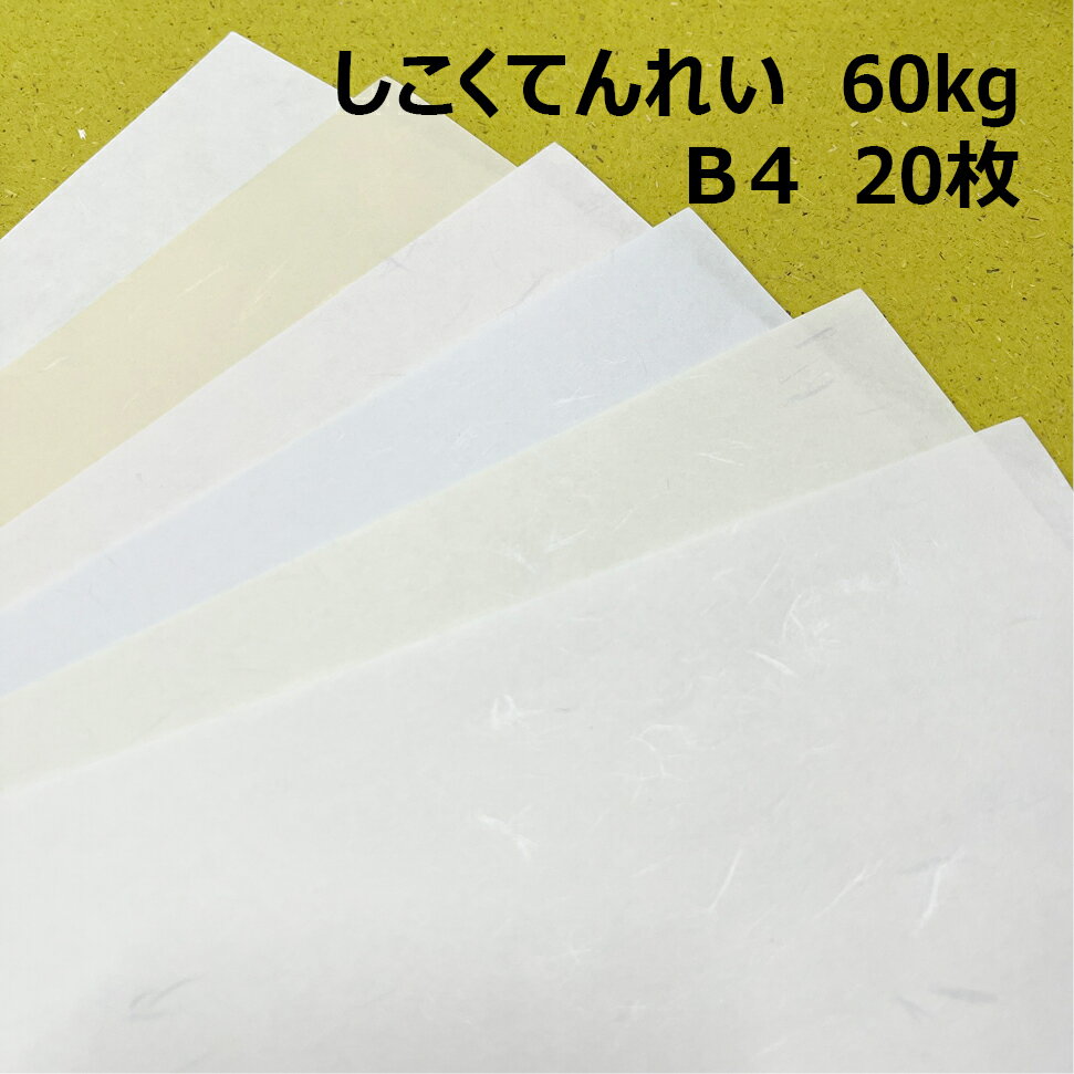 しこくてんれい(片面加工) B4(257×364mm) 60kg(≒0.11mm)1色 20枚|全3色より1色選択 和紙 高級感 便箋 包装紙 見返し 大礼紙 和風用紙