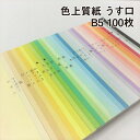 北越紀州製紙 色上質紙 うす口 B5 100枚
