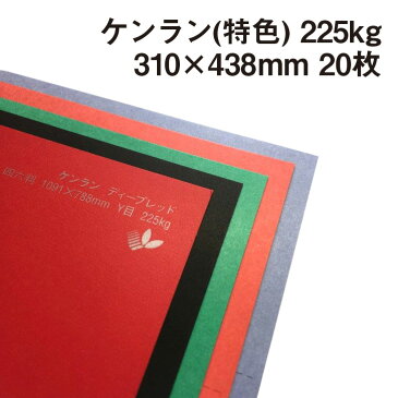 【お買い物マラソンポイント10倍】厚紙カラーペーパー ケンラン(特色) 225kg(=0.28mm) A3ワイドサイズ(438×310mm) 20枚【印刷 工作 名刺 カード 紙飛行機 ペーパークラフト アクセサリー 台紙 タグ 箱 建築模型 ジオラマ 紙模型 鉄道模型】