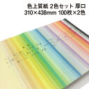色上質紙 2色セット 厚口 A3ワイド 100枚×2色|全32色より2色選択 カラーペーパー 表紙 目次 見返し プログラム カタログ チケット