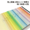 色上質紙 2色セット 特厚口 B5 100枚×2色|全32色より2色選択 カラーペーパー 表紙 目次 見返し プログラム カタログ チケット