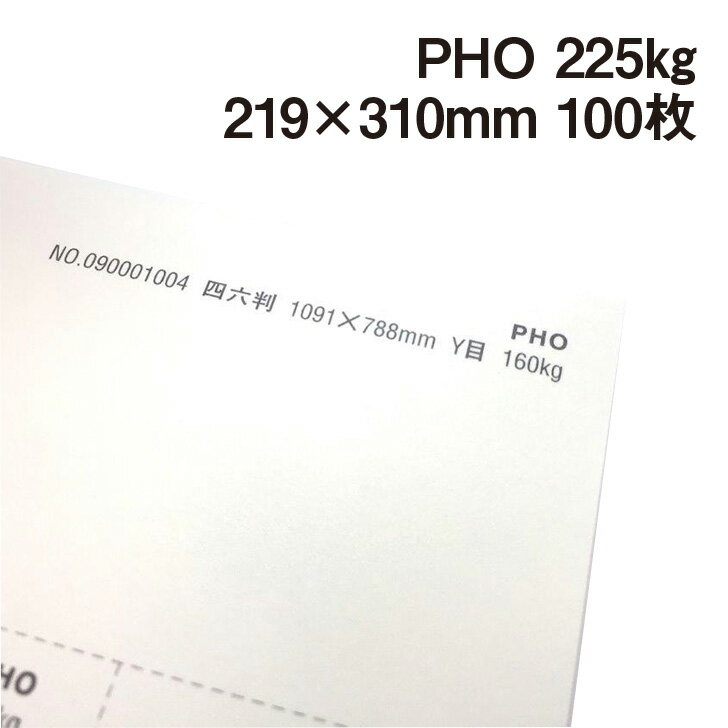 PHO 225kg A4Ch 100|hHp Photograph i` v[ X[X veBOt@V[ J[h ؏