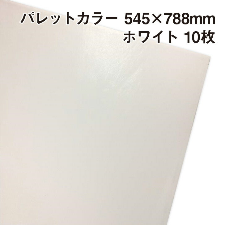 åԥ ѥåȥ顼 ۥ磻ȡA01 10 545788mm |դդ ꡼ 