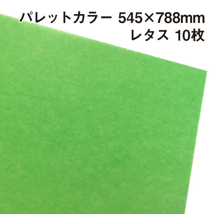 ��åԥ��������� �ѥ�åȥ��顼 �쥿����A11�� 10�� 545��788mm |�դ�դ� �����꡼ ����