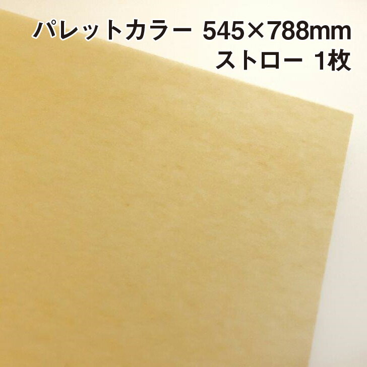 ラッピング用包装紙 パレットカラー ストロー(A04) 1枚 545×788mm |ふわふわ エアリー 極薄 母の日 父の日
