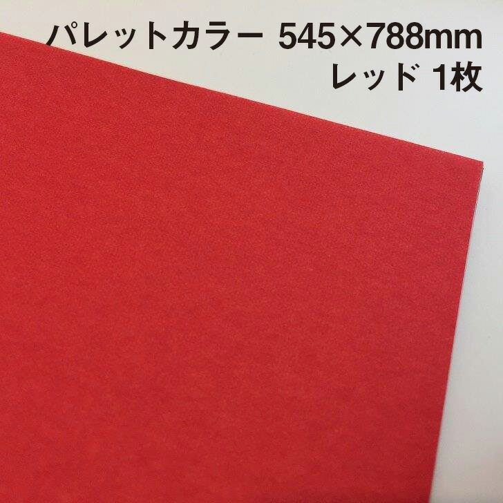 ラッピング用包装紙 パレットカラー レッド(B01) 1枚 545×788mm |ふわふわ エアリー 極薄 母の日 父の日