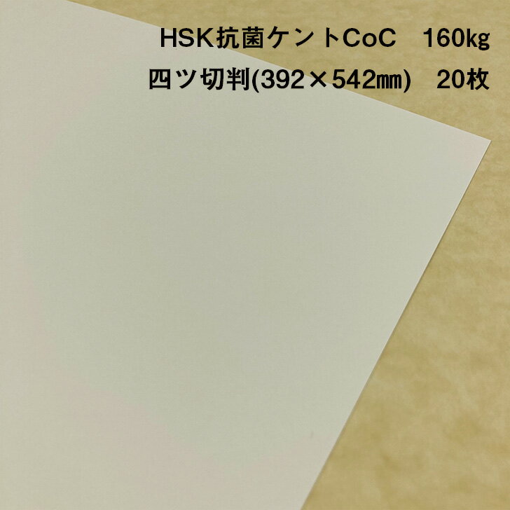 【抗菌】【ケント紙】HSK抗菌ケントCoC 160kg 四ツ切判(392×542mm) 20枚