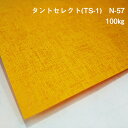 タントセレクトTS-1 N-57 100kg(≒0.18mm) A4(210×297mm) 20枚|オリジナルブックカバー作りに