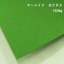 お菓子入れ（ハロウィン向き） 【紙の見本帳ノート_p.35】マーメイド カクタス 153kg(≒0.29mm) A4(210×297mm) 20枚|中性紙 凸凹 ハロウィン 工作 ガーランド お菓子入れ