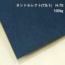 タントセレクトTS-1 H-70 100kg(≒0.18mm) A4(210×297mm) 20枚| オリジナルブックカバー作りに