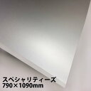 スペシャリティーズ No.210 24kg 790×1090mm 5枚|写真撮影 商品撮影 背景紙 フォトバックペーパー メタリック アルミ シルバー 光沢 ツヤ消し